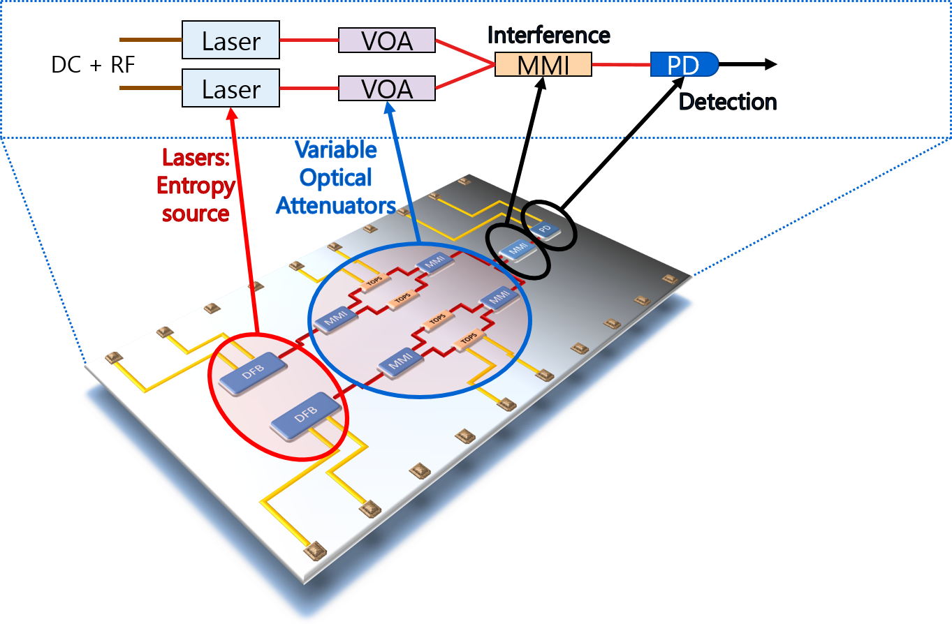 Layout of our Quantum Random Number Generator chip